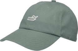 PUMA Essentials No 1 Logo Patch Bb Cap (02599704)