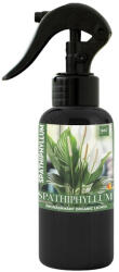 Topsem Ingrasamant foliar pentru Spathiphyllum 500 ml