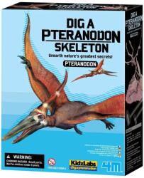 4M Trusă științifică 4M KidzLabs - Dezgroapă un schelet, un pteranodon (4m-03459)