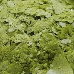 Ocean Nutrition Spirulina Flakes 71 g