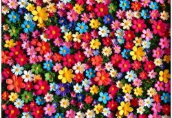 Alipson Puzzle 50234 - Petal Explosion - 1000 db-os puzzle (50234)