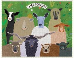 Galison 25609 - Sheepology, Camilla Pintonato - 1000 db-os puzzle (25609)
