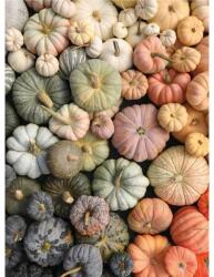 Galison 69559 - Heirloom Pumpkins - 1000 db-os puzzle (69559)