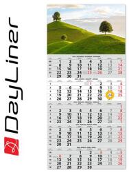 Dayliner Naptár, speditőr, öt hónapos, egy tömbös, DAYLINER (DL6SP-1H5-HA) - fodicoaruhaz