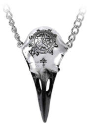 Alchemy Gothic Zgardă ALCHEMY GOTHIC - Volvan Raven Skulll - P898