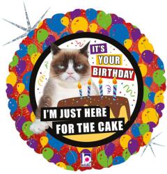  Grumpy Cat Cake Holo fólia lufi 46 cm (GBB36705H) - sandori