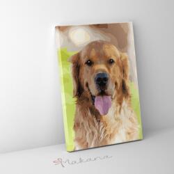 Makana Golden retriever - Számfestő készlet, kerettel (40x50 cm)