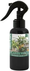 Topsem Ingrasamant foliar pentru Plante Verzi 500 ml