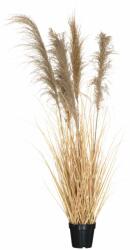 Díszfű cserépben - 147 cm magas, Élő hatású