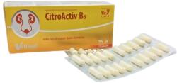 VetFood CitroActiv B6 capsule (Ambalaj: 120 capsule)