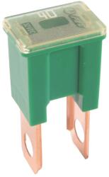 Bosch siguranta fuzibila BOSCH 1 987 529 069 (1 987 529 069) - centralcar