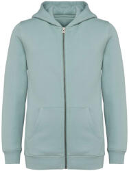 Native Spirit NS405 ECO-FRIENDLY KIDS’ FULL ZIP HOODED SWEATSHIRT (ns405jg-6/8)