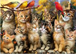 Educa - Puzzle Kittnes and Birds - 500 piese