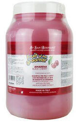  San Bernard Sampon Amarena cseresznye 3250ml