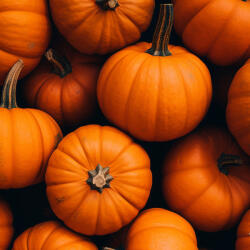  Prémium illatolaj - sütőtök, 10 ml