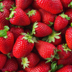  Prémium illatolaj - eper, 50 ml