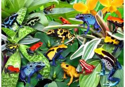 Alipson Puzzle 50168 - Fun Frogs - 500 db-os puzzle (50168)