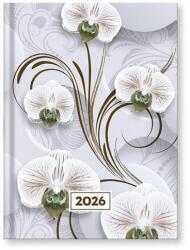 Vectraline Határidőnapló VECTRALINE Mystic White princess B/6 napi fehér lapos 2026 - fotoland