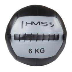 HMS Wall Ball Labda, 6 Kg