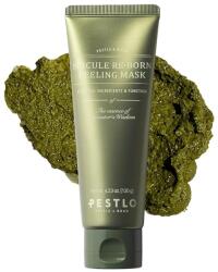 PESTLO Spicule Re-Born Peeling Mask bőrmegújító peeling bio-spikulákkal és zöld teával (PTL1237120JA)