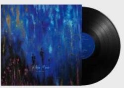 Anti- LP Alfa Mist: Variables