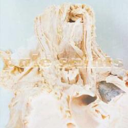 4AD LP Pale Saints: In Ribbons