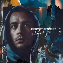 Island Records LP Dermot Kennedy: Without Fear