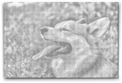  PontPöttyöző - Corgi Méret: 40x60cm, Keretezés: Műanyagtáblával, Szín: Kék