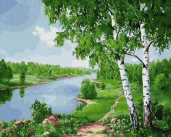 iPicasso Set pictura pe numere, cu sasiu, Mesteceni langa rau, 40x50 cm (PC4050655)