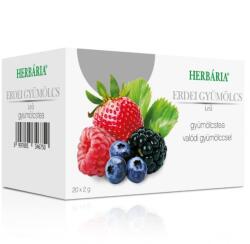 Herbária Gyümölcstea erdei gyümölcs - 20 filter - vitaminbolt - 840 Ft