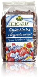 Herbária erdei gyümölcs ízesítésű gyümölcstea - 120g - vitaminbolt