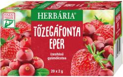 Herbária Tőzegáfonya-Eper tea - 20 filter - vitaminbolt - 827 Ft