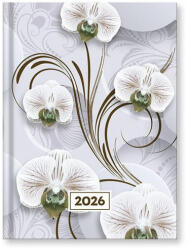 VECTRALINE Határidőnapló VECTRALINE Mystic White princess B/6 napi fehér lapos 2026 - papir-bolt