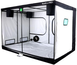BudBox White PRO Titan I+ 200x300x200 cm