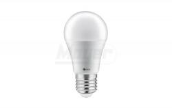 GTV LED izzó E27 12W 1100lm 6400K, normál izzó forma, opál búra (GTV-GT-PZ2A60-12)