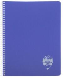 DACO Caiet A4 cu spira, 96 file, matematica, coperta PP, Atinge Excelenta, Daco (CT496AR)
