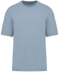 Native Spirit NS332 MEN'S OVERSIZED T-SHIRT M (3663938644158)