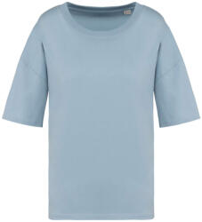 Native Spirit NS313 LADIES’ ECO-FRIENDLY OVERSIZED T-SHIRT S/M (3663938336725)