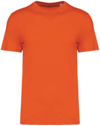 Native Spirit NS300 ECO-FRIENDLY UNISEX T-SHIRT 3XL (3663938574882)