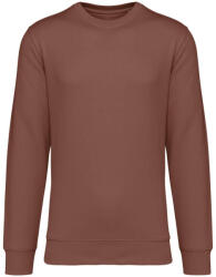 Native Spirit NS400 ECO-FRIENDLY UNISEX ROUND NECK SWEATSHIRT 2XL (3663938547282)