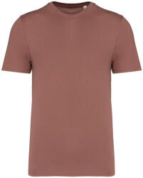 Native Spirit NS300 ECO-FRIENDLY UNISEX T-SHIRT 2XL (3663938546643)