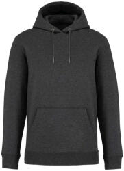Native Spirit NS401 ECO-FRIENDLY UNISEX HOODED SWEATSHIRT XL (3663938242934)