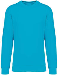 Native Spirit NS400 ECO-FRIENDLY UNISEX ROUND NECK SWEATSHIRT L (3663938546919)