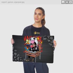 OwnMcKendry - School Again gamer egérpad