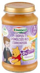 Univer trópusi gyümölcsös rizs csirkehússal bébiétel, 12 hónapos kortól 220 g