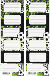 Starpak Focis 6 db (559539)