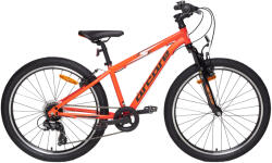 Arcore Starlight 24 Bicicleta