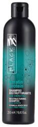 Black Professional Keratin Protein Restructuring Shampoo 250 ml