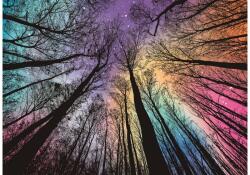 bboldin Z-099 - Colorful Magic Forest - 1000 db-os puzzle (Z-099)