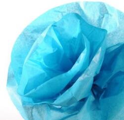 CANSON Hartie de matase CANSON 0, 5X5m, 18 g/mp, BLEU TURQUISE (BLEU TURCOAZ) (992664)